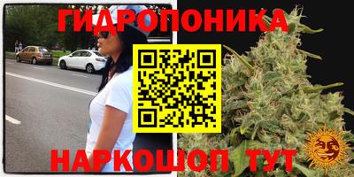 соль курить ск Заволжье