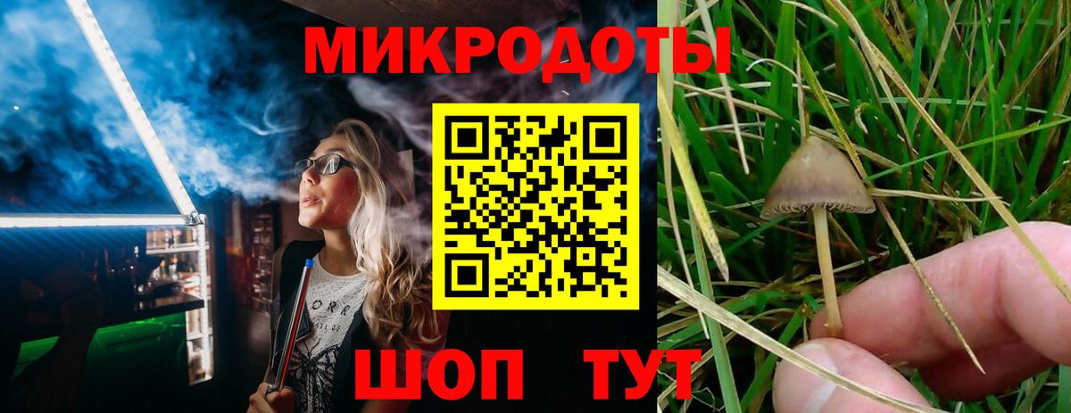 Малоярославец  Псилоцибиновые грибы Psilocybine cubensis  Вход с VPN 